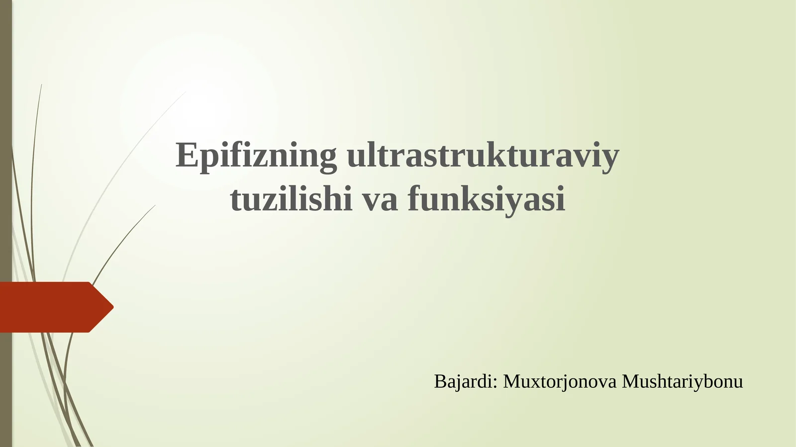 Epifizning ultratuzilishi va funksiyasi