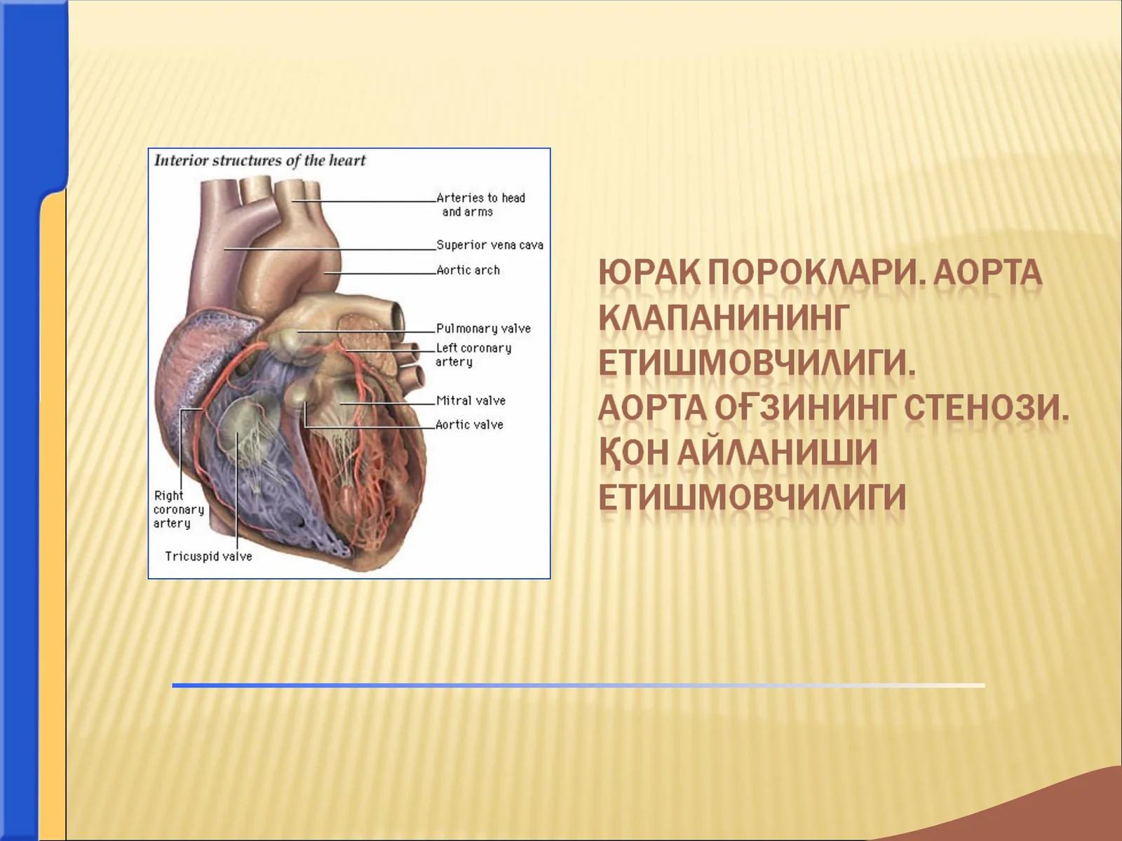 юрак пороклари