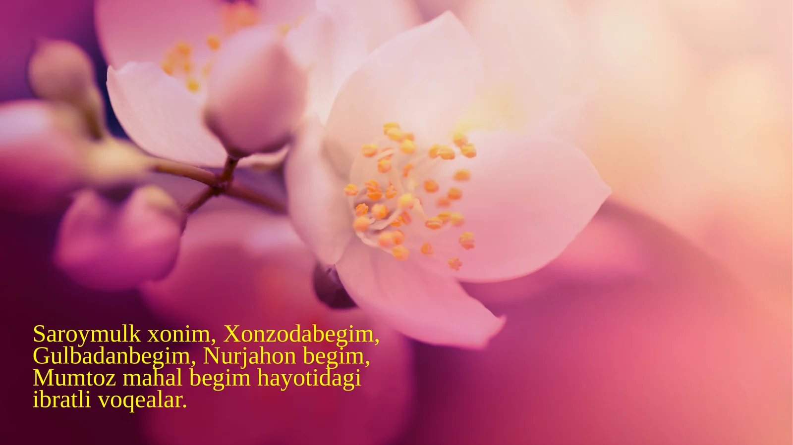 Saroymulk xonim, Xonzodabegim, Gulbadanbegim, Nurjahon begim, Mumtoz mahal begim