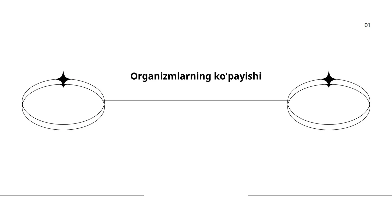 Organizmlarning ko'payishi