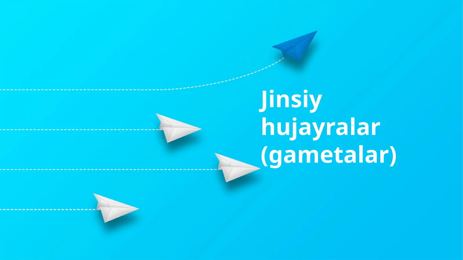Jinsiy hujayralar (gametalar)