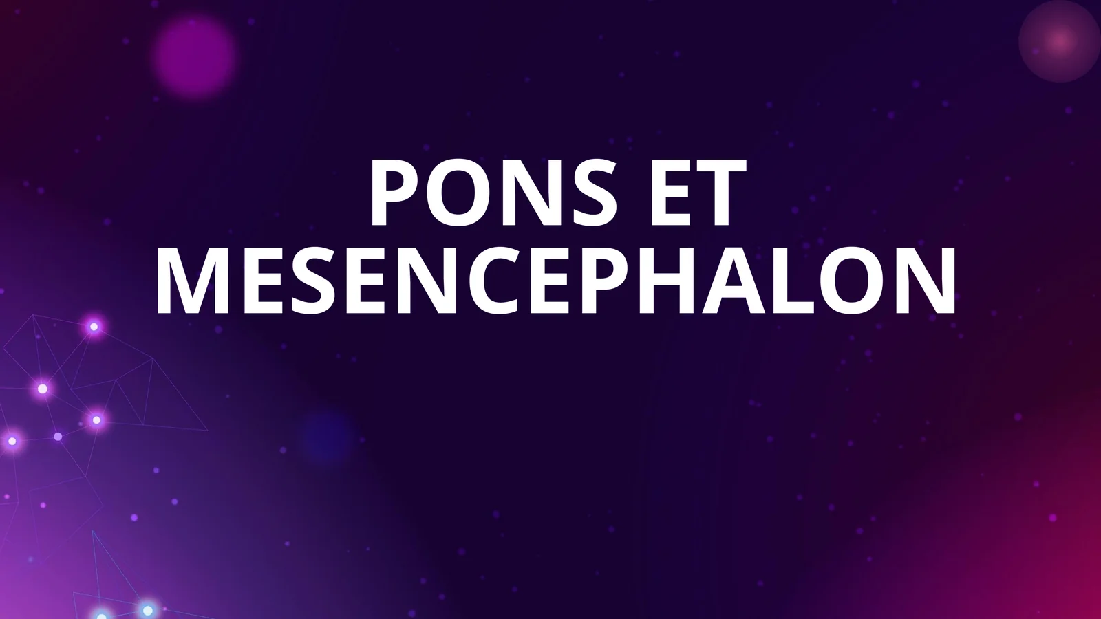 PONS ET MESENCEPHALON
