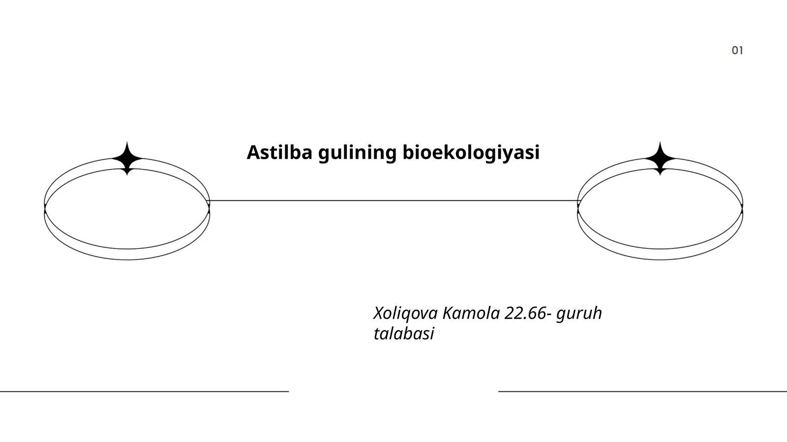Astilba gulining bioekologiyasi