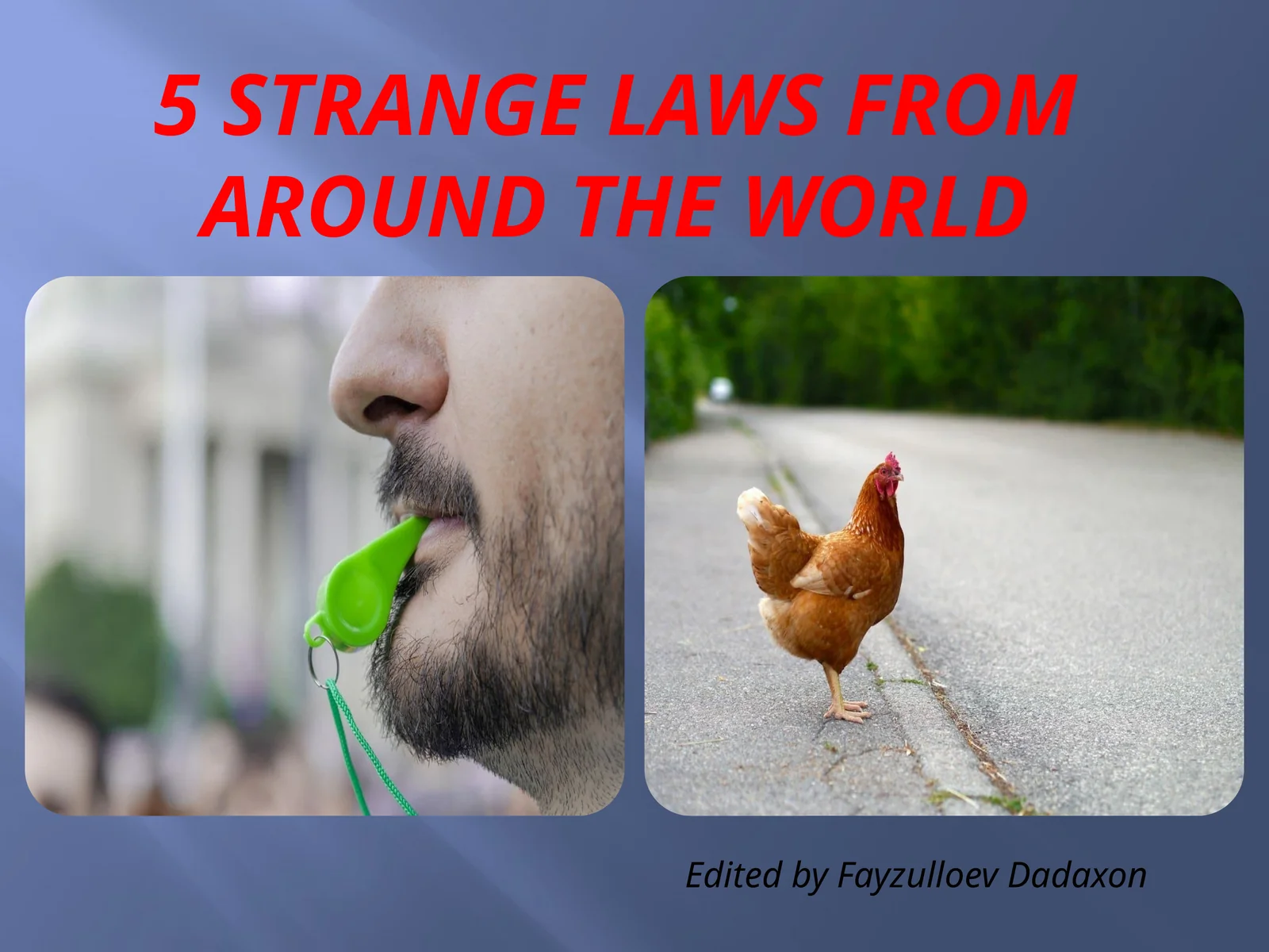 5strange lawsfromaroundthe world