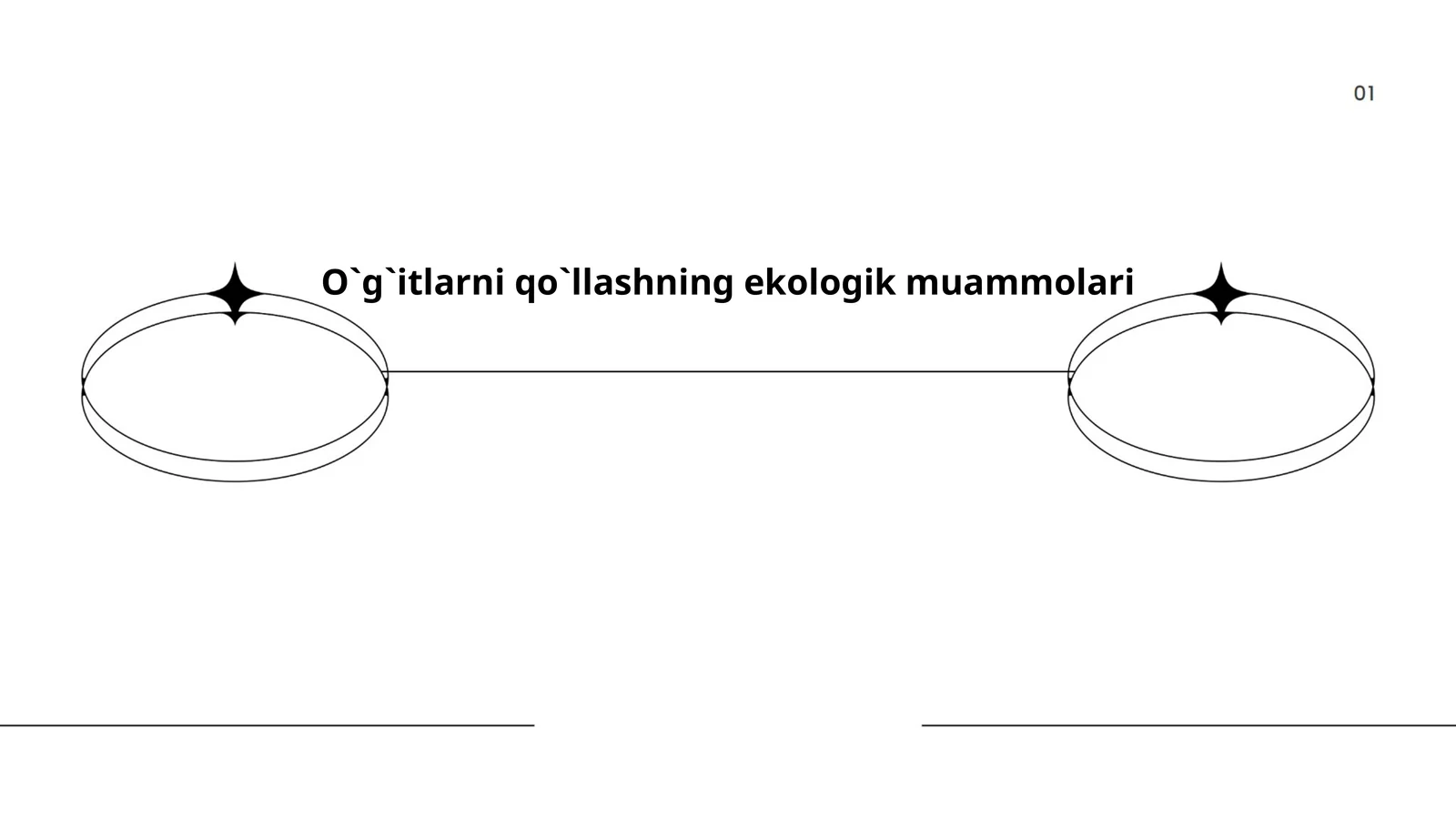 O`g`itlarni qo`llashning ekologik muammolari