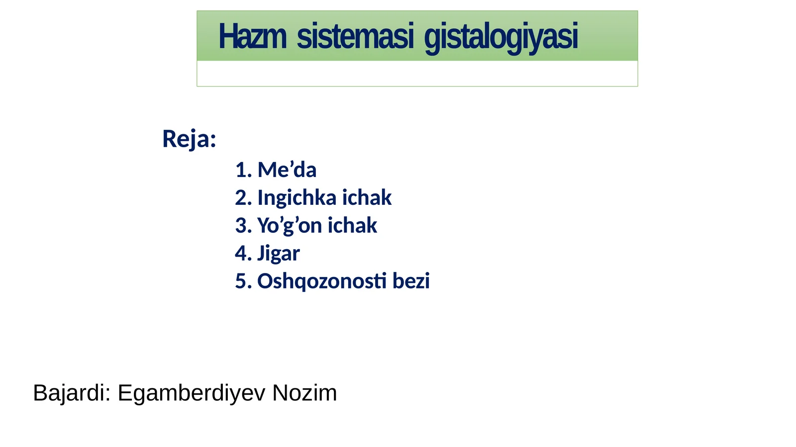 Hazmsistema Gistologiyasi