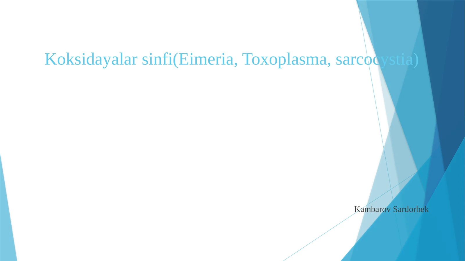 Koksidayalarsinfi(Eimeria, Toxoplasma,sarcocystia)
