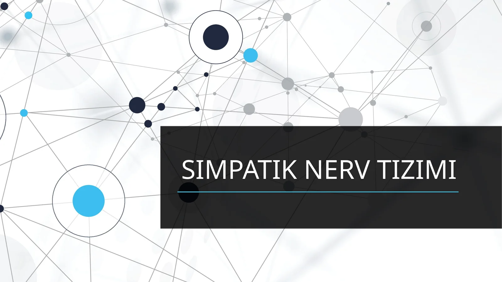 SIMPATIK NERV TIZIMI