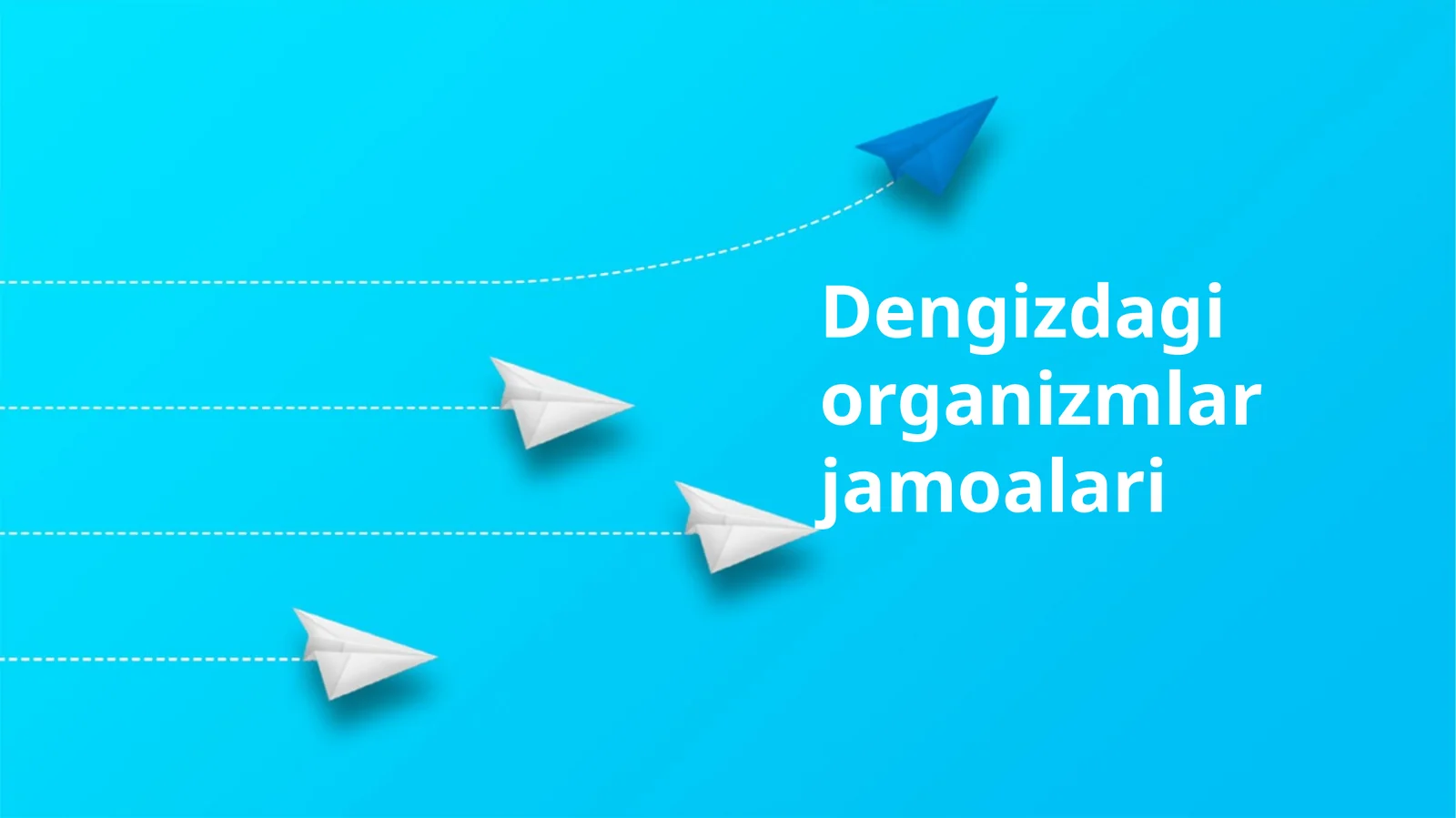 Dengizdagi organizmlar jamoalari