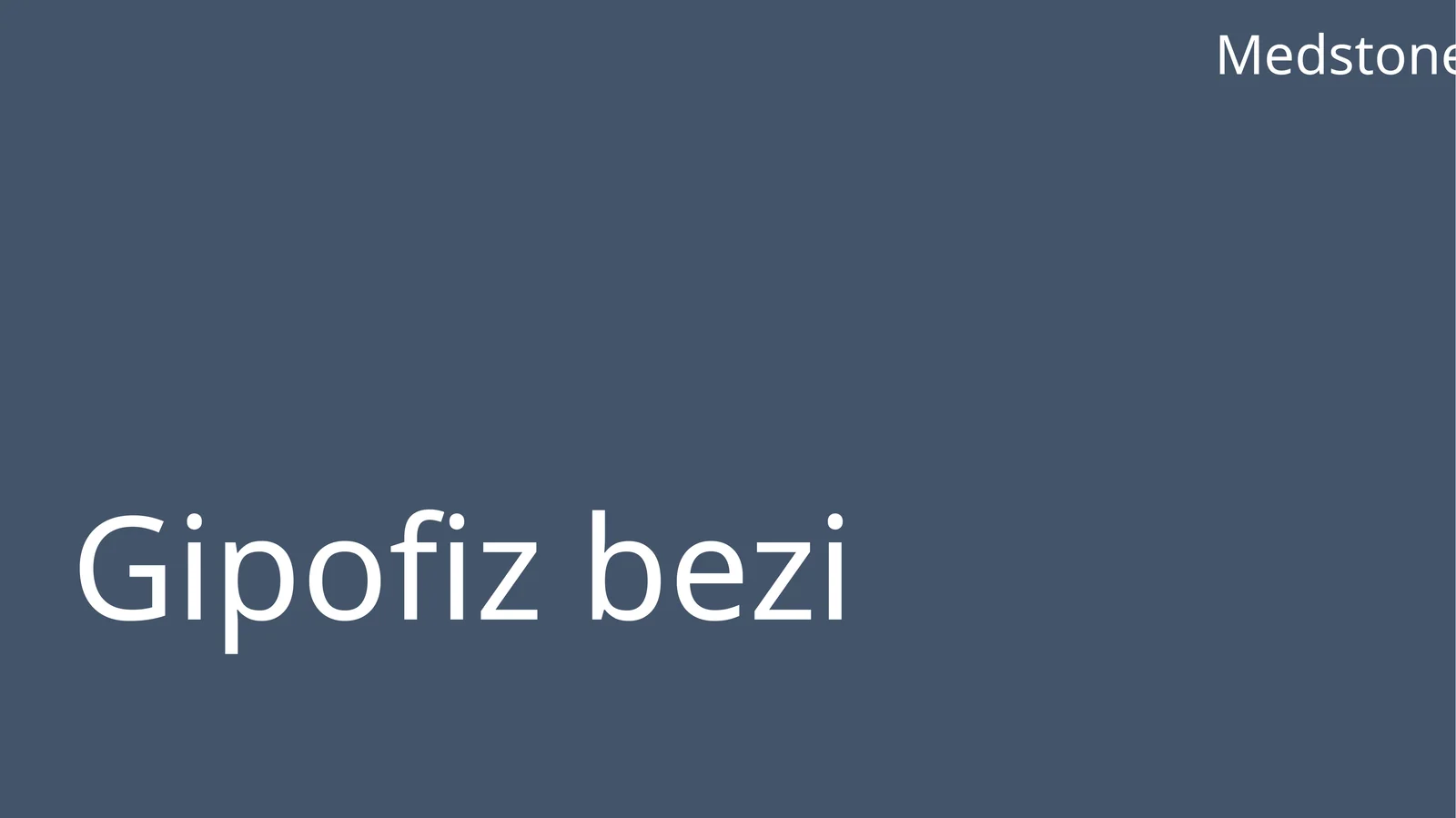 Gipofizbezi, Medstone, GIPOFIZ BEZI
