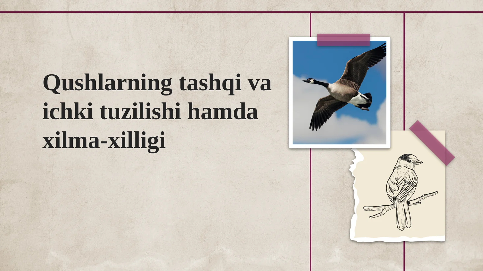 Qushlarning tashqi va ichki tuzilishi