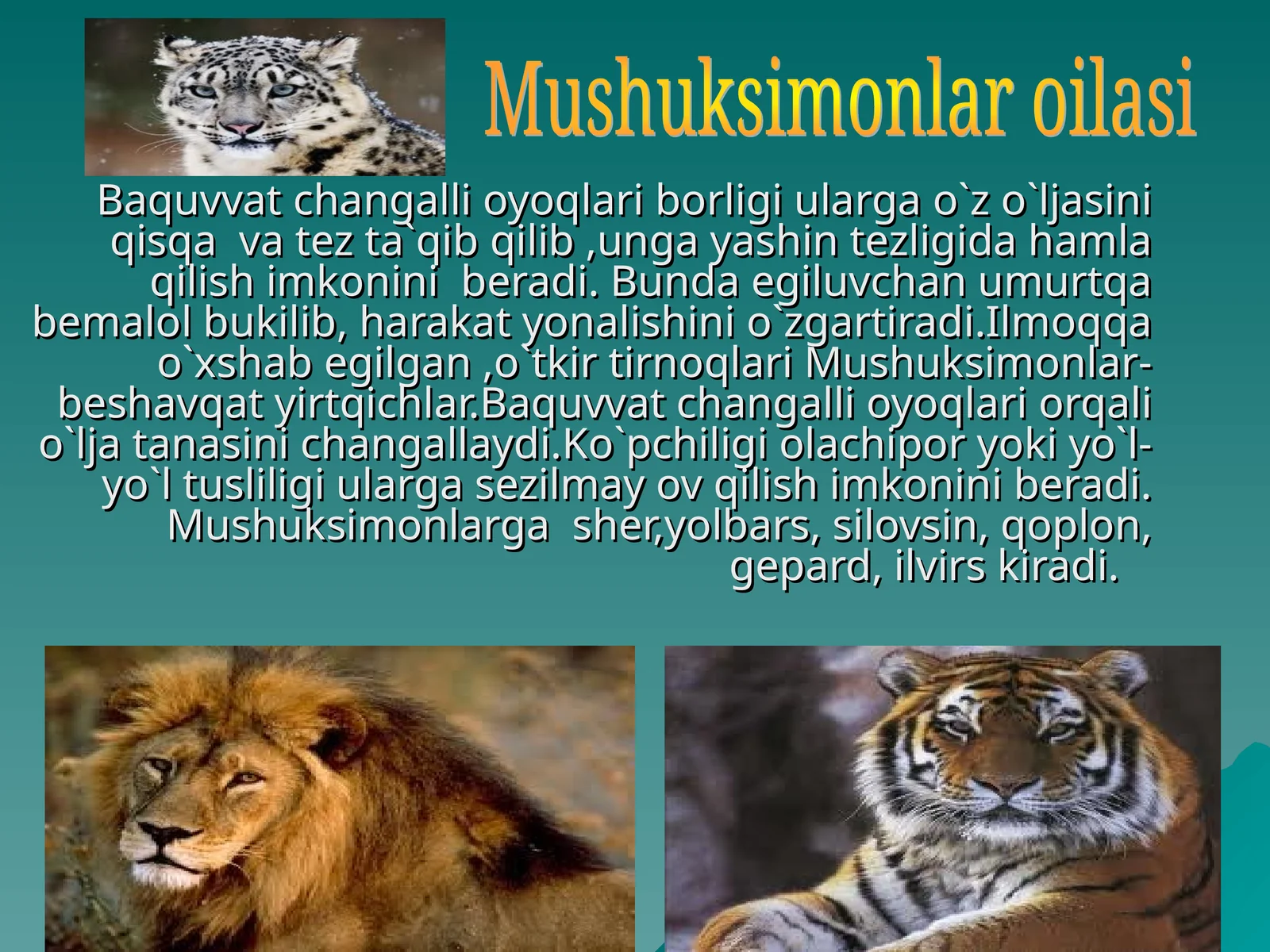 Baquvvat changalli oyoqlari
