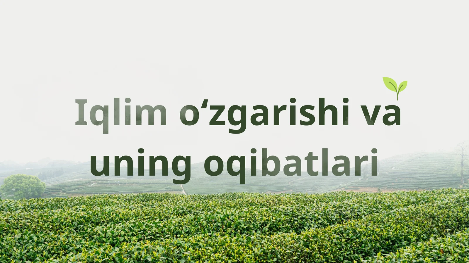 Iqlim o‘zgarishi va uning oqibatlari