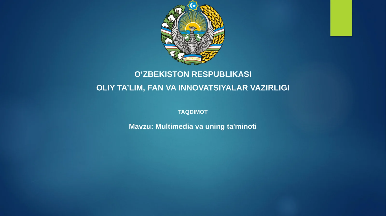 Multimedia va uning ta'minoti