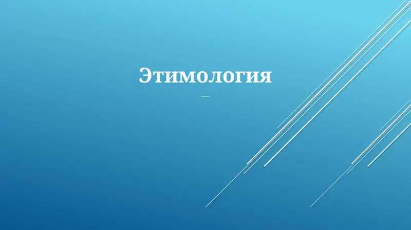 Этимология