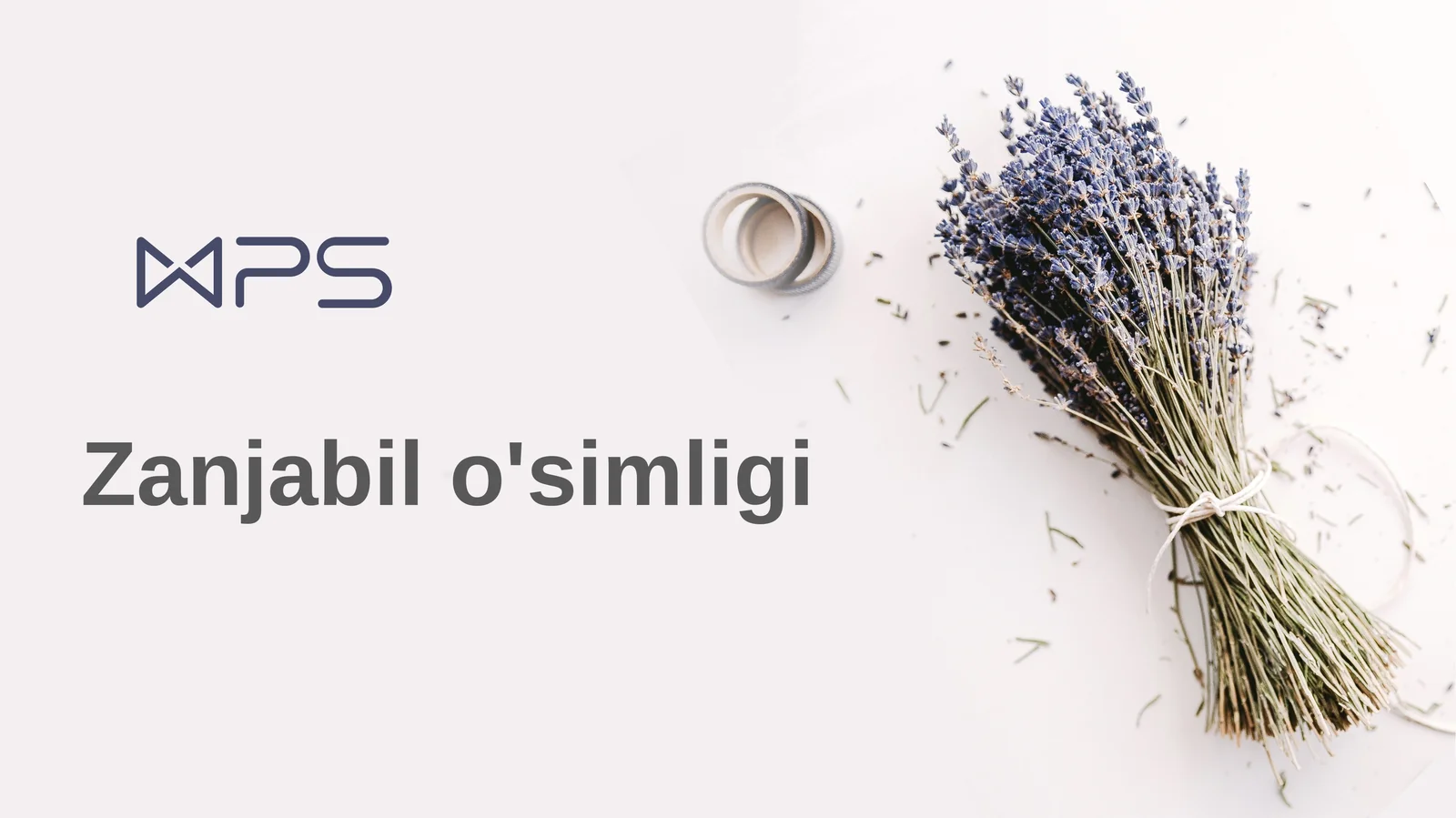 Zanjabil o'simligi