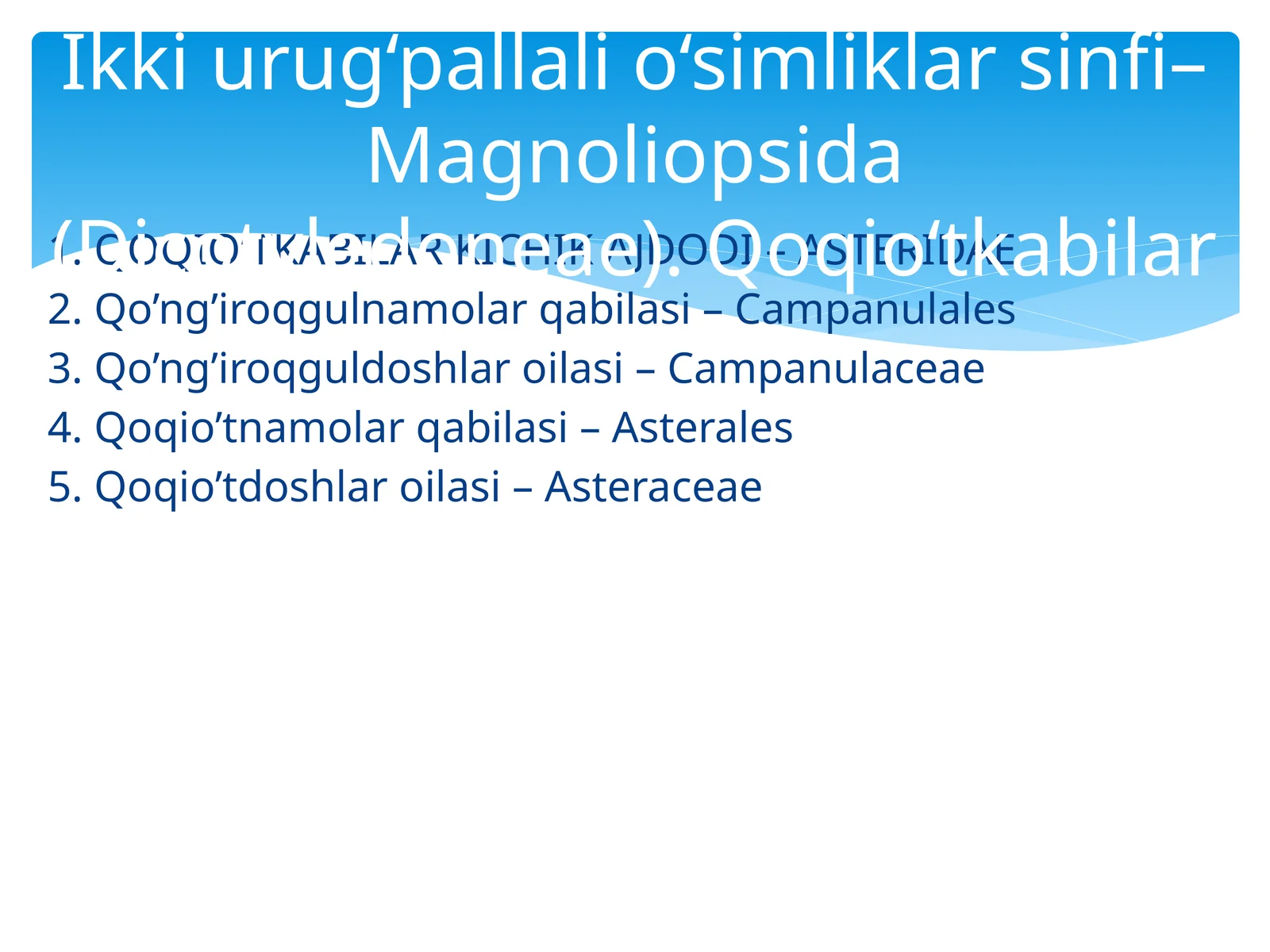 Qoqio’tkabilar kichik ajdodi – Asteridae
