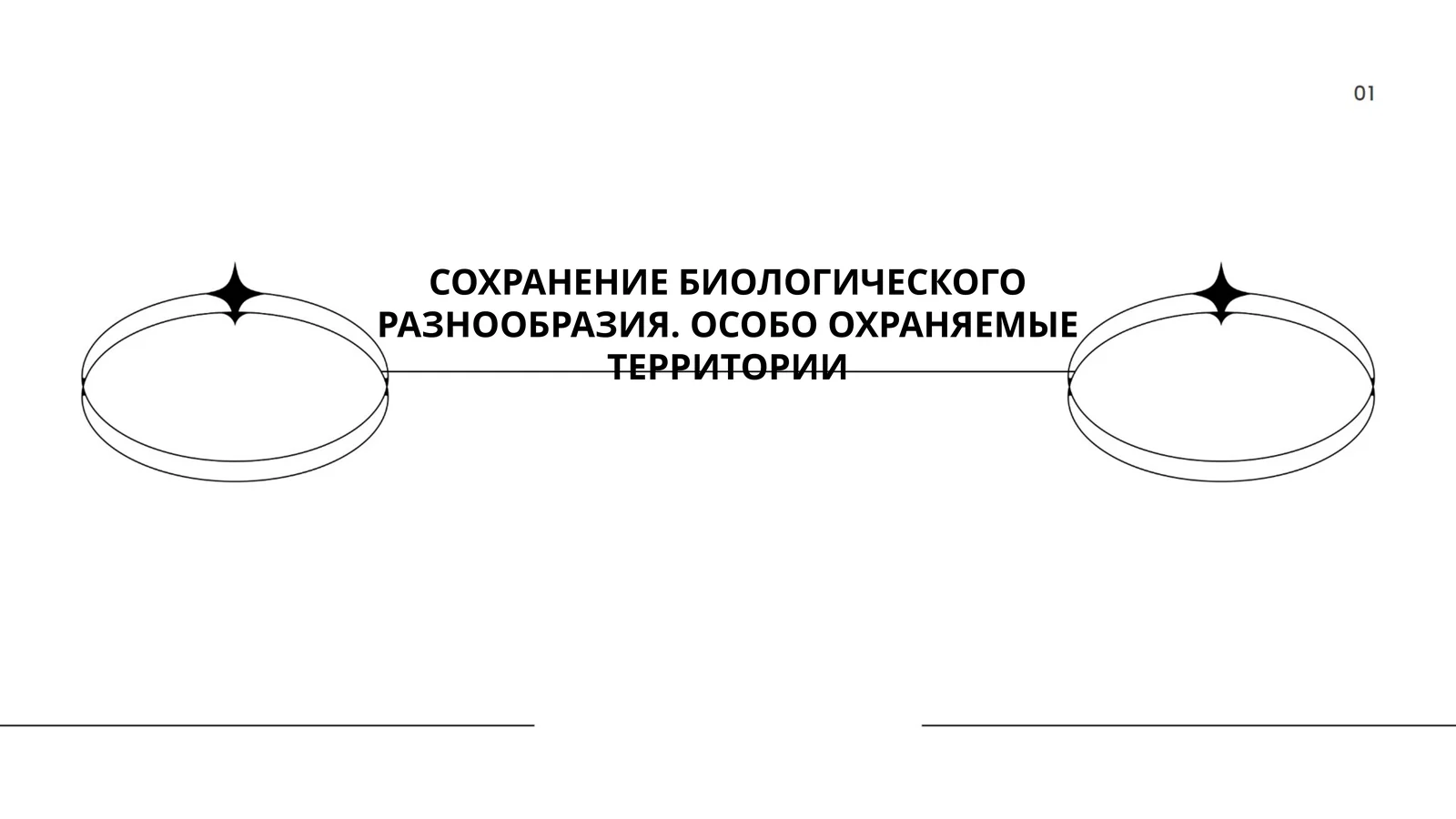 Законодательство в области охраны биологического разнообразия