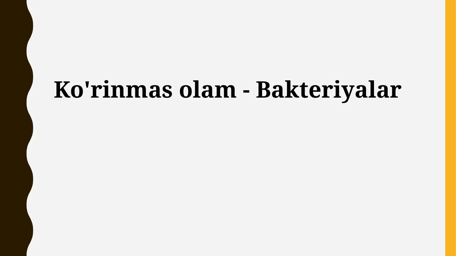 Ko'rinmas olam - Bakteriyalar