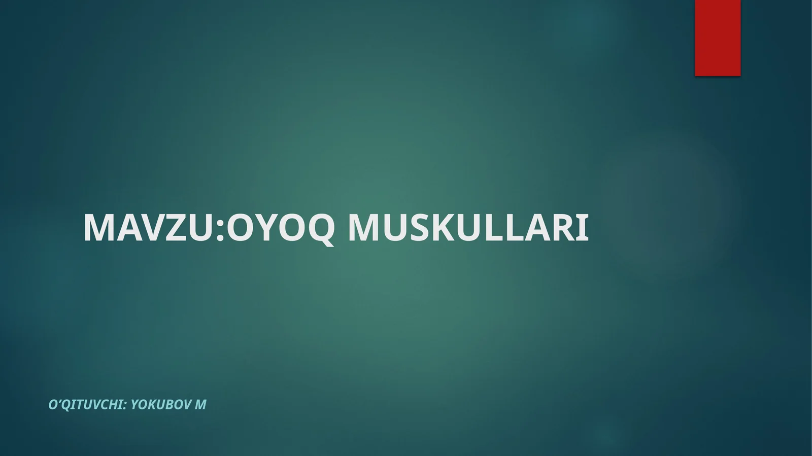 OYOQ MUSKULLARI