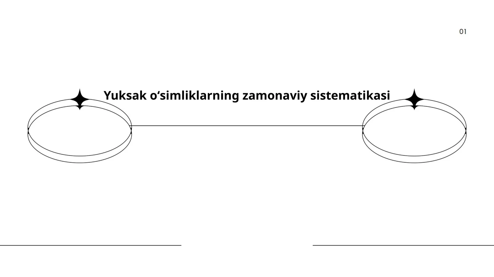 Yuksak oʻsimliklarning zamonaviy sistematikasi