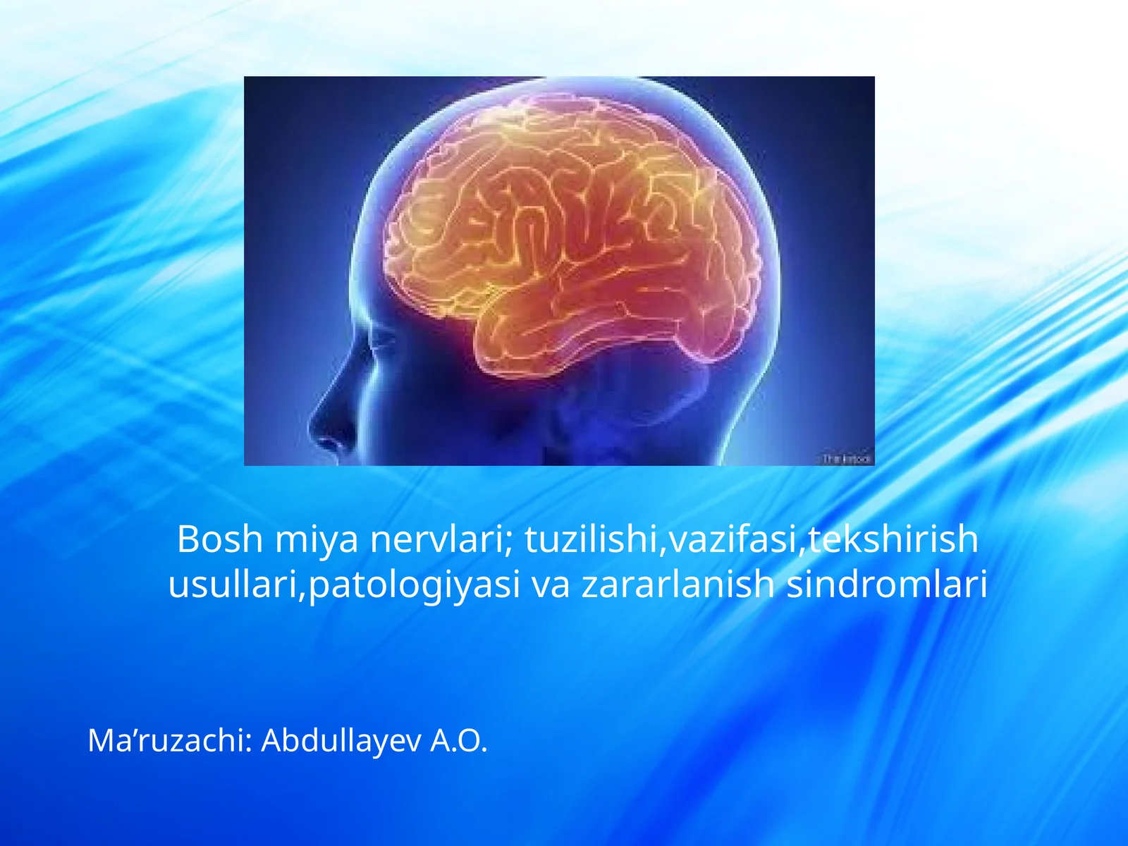 Boshmiyanervlari;tuzilishi,vazifasi,tekshirishusullari,patologiyasivazararlanishsindromlari