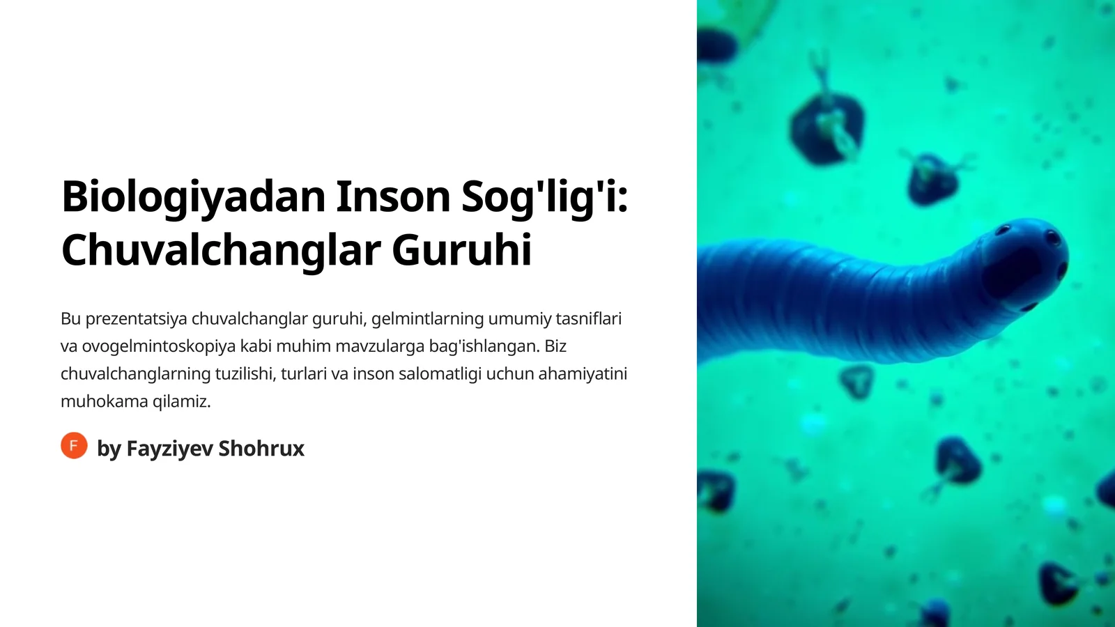 Biologiyadan Inson Sog'lig'i: Chuvalchanglar Guruhi