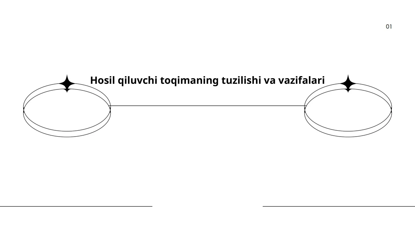 Tirik to'qima turlari, tuzilishi va vazifalari