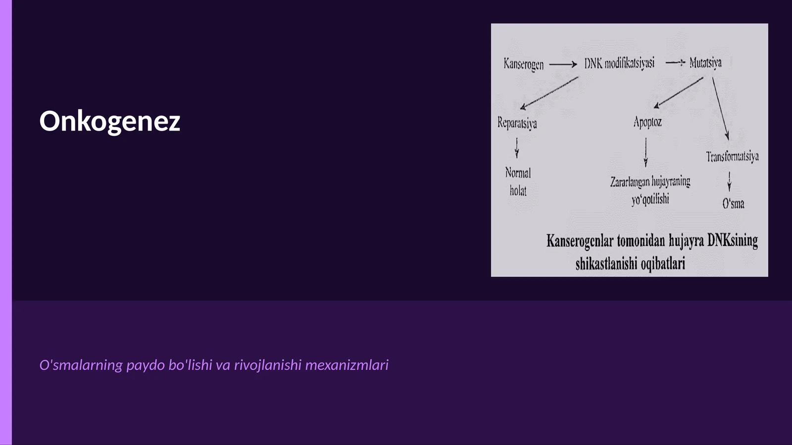 Onkogenez