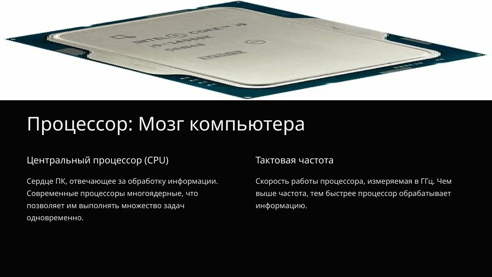 Процессор: Мозг компьютера