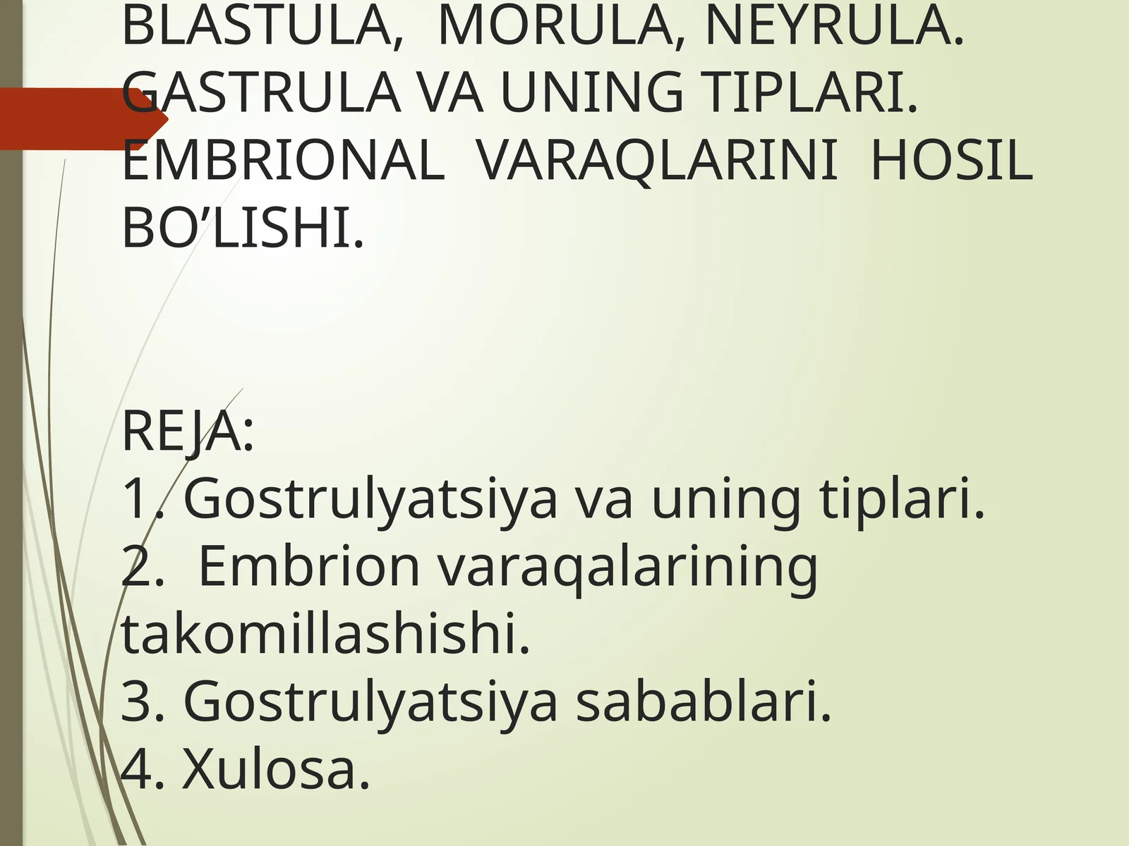 IMPLANTATSIYA. MAYDALANISH. BLASTULA, MORULA, NEYRULA. GASTRULA VA UNING TIPLARI. EMBRIONAL VARAQLARINI HOSIL BO’LISHI