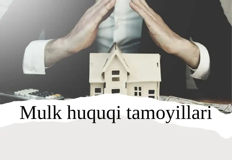 Mulkhuquqitamoyillari