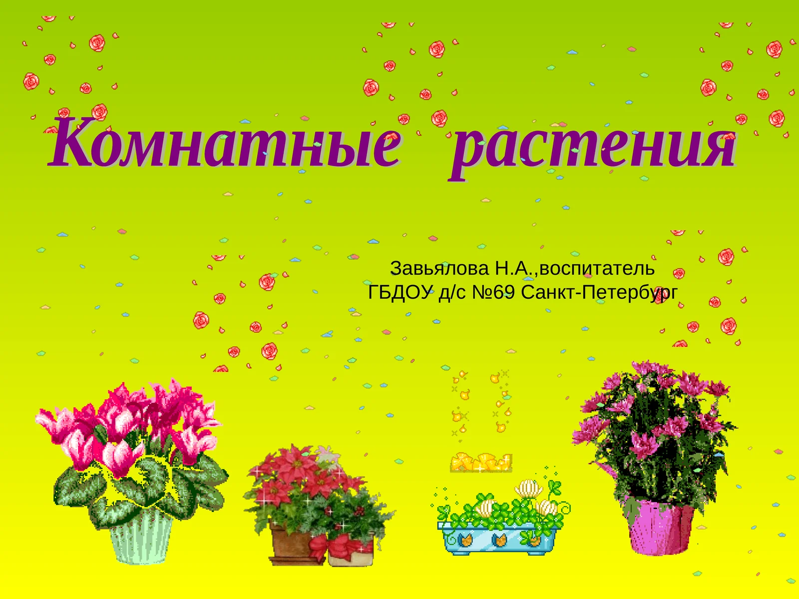 Комнатные растения