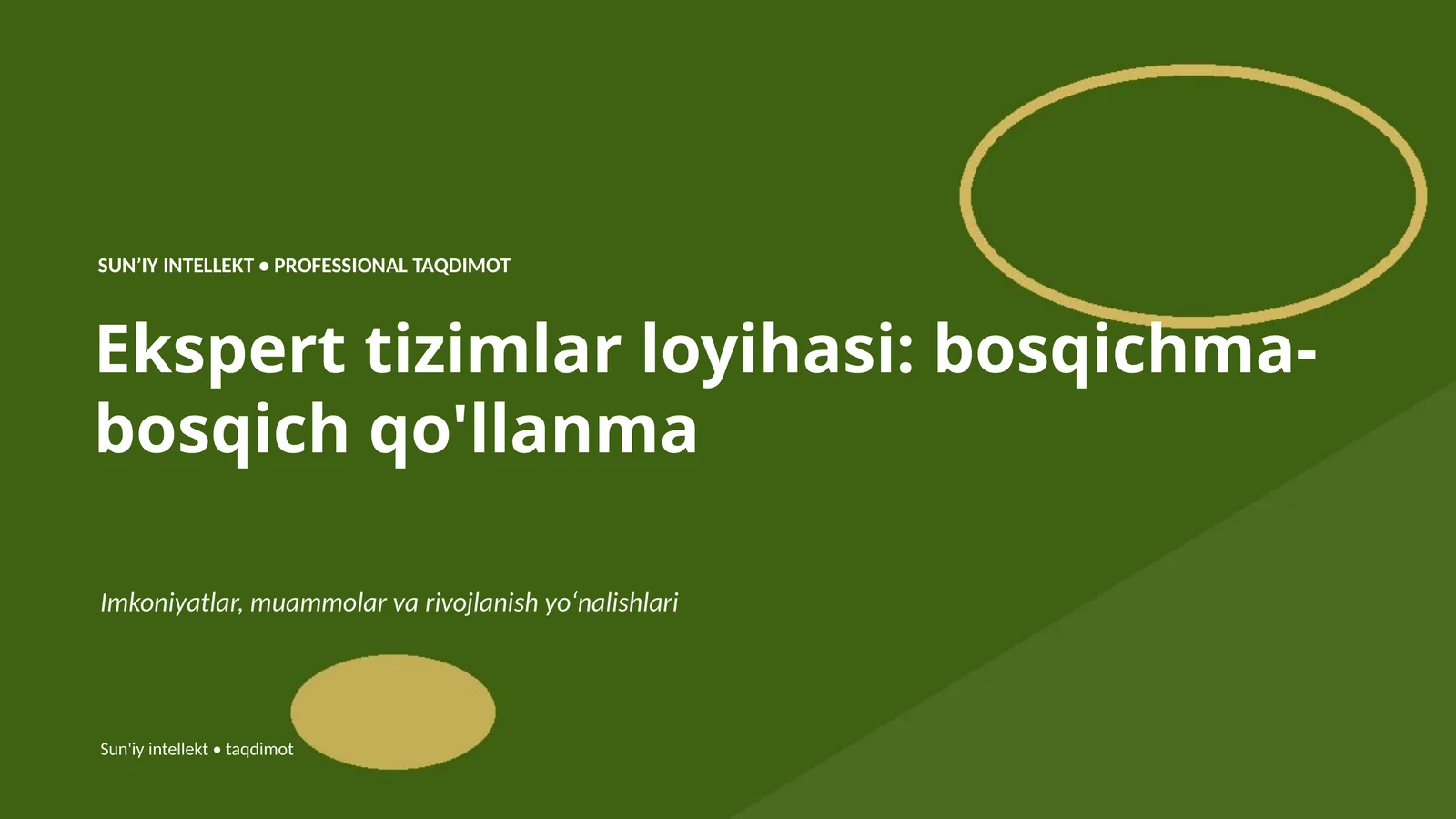 Ekspert tizimlar loyihasi: bosqichma-bosqich qo'llanma