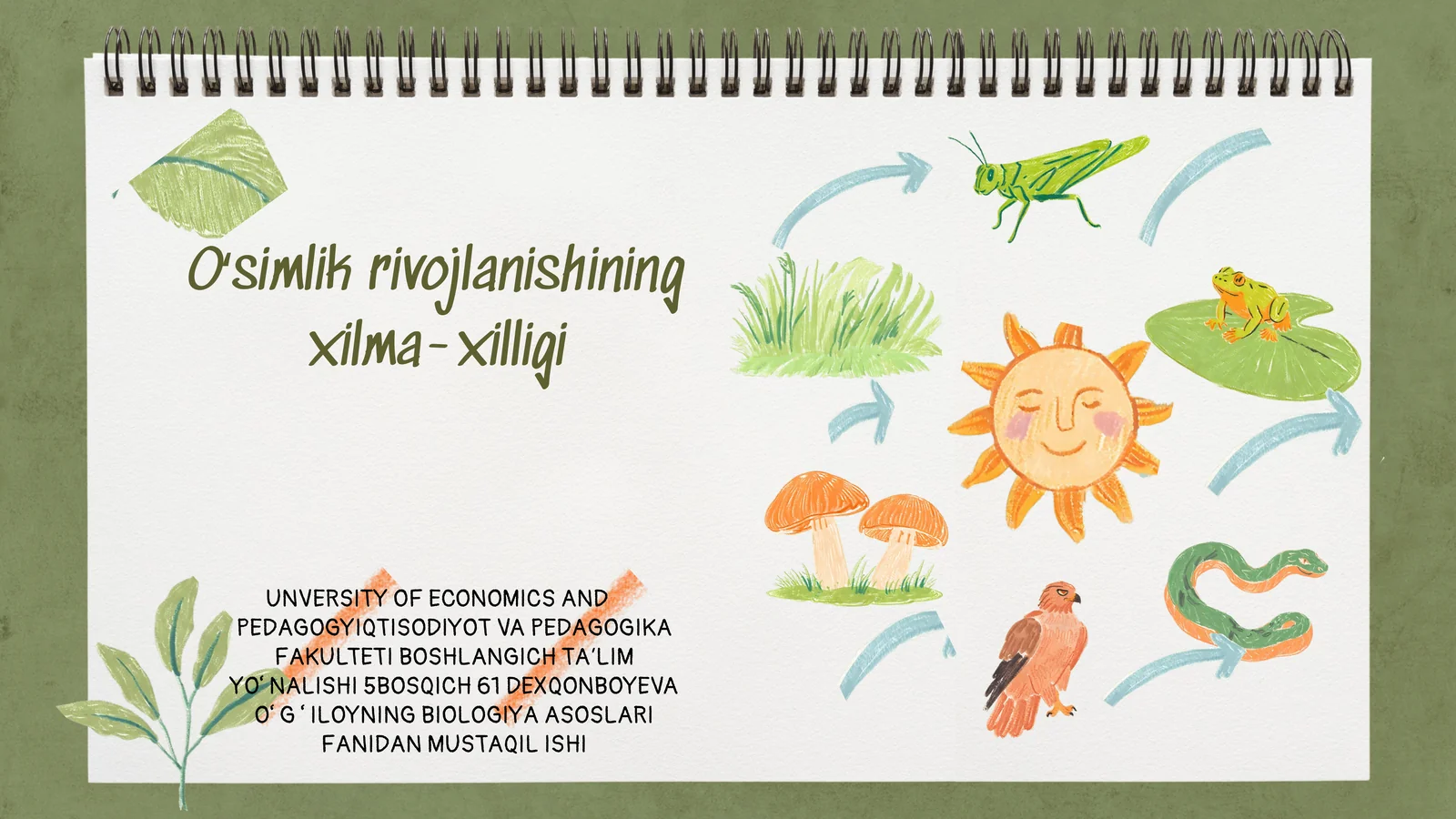 Oʻsimlik rivojlanishining xilma-xilligi
