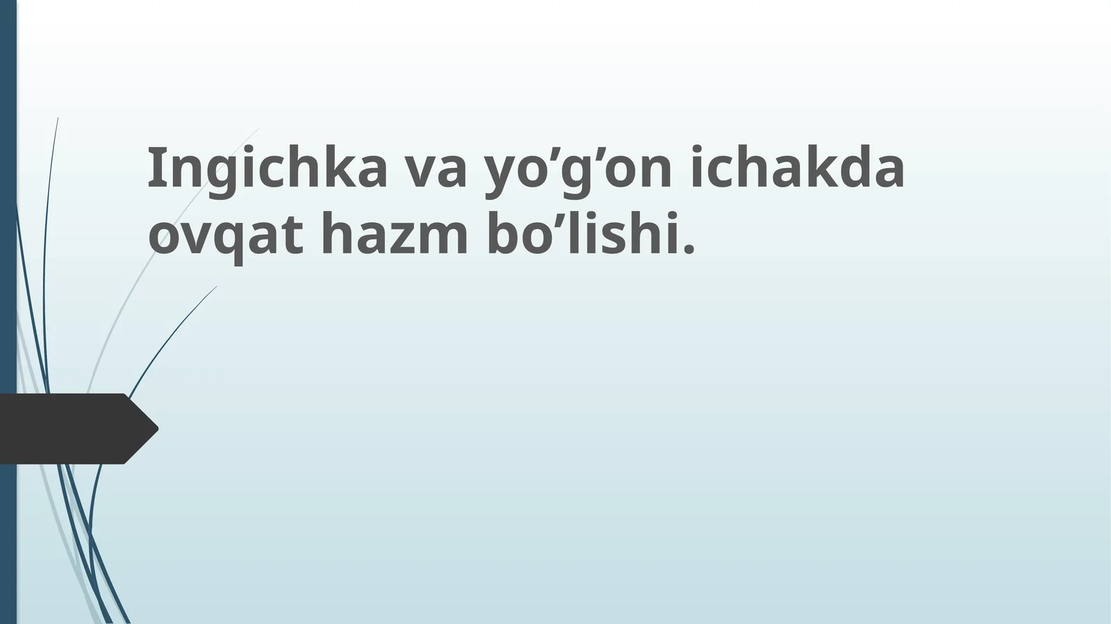 Ичак шираси таркиби ва хоссалари