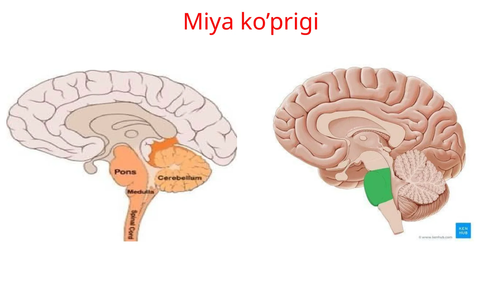 Miyako’prigi