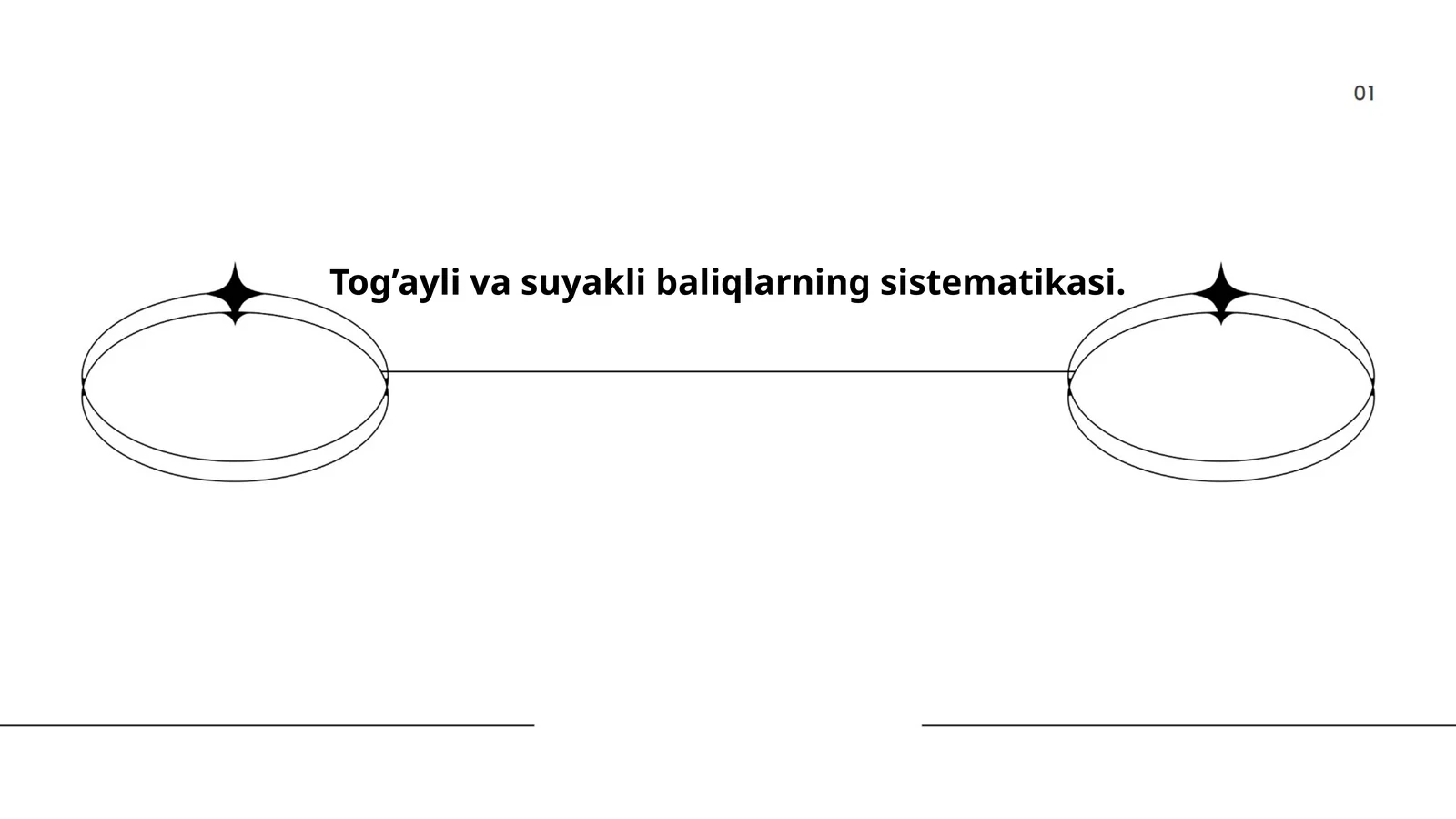 Tog’ayli va suyakli baliqlarning sistematikasi