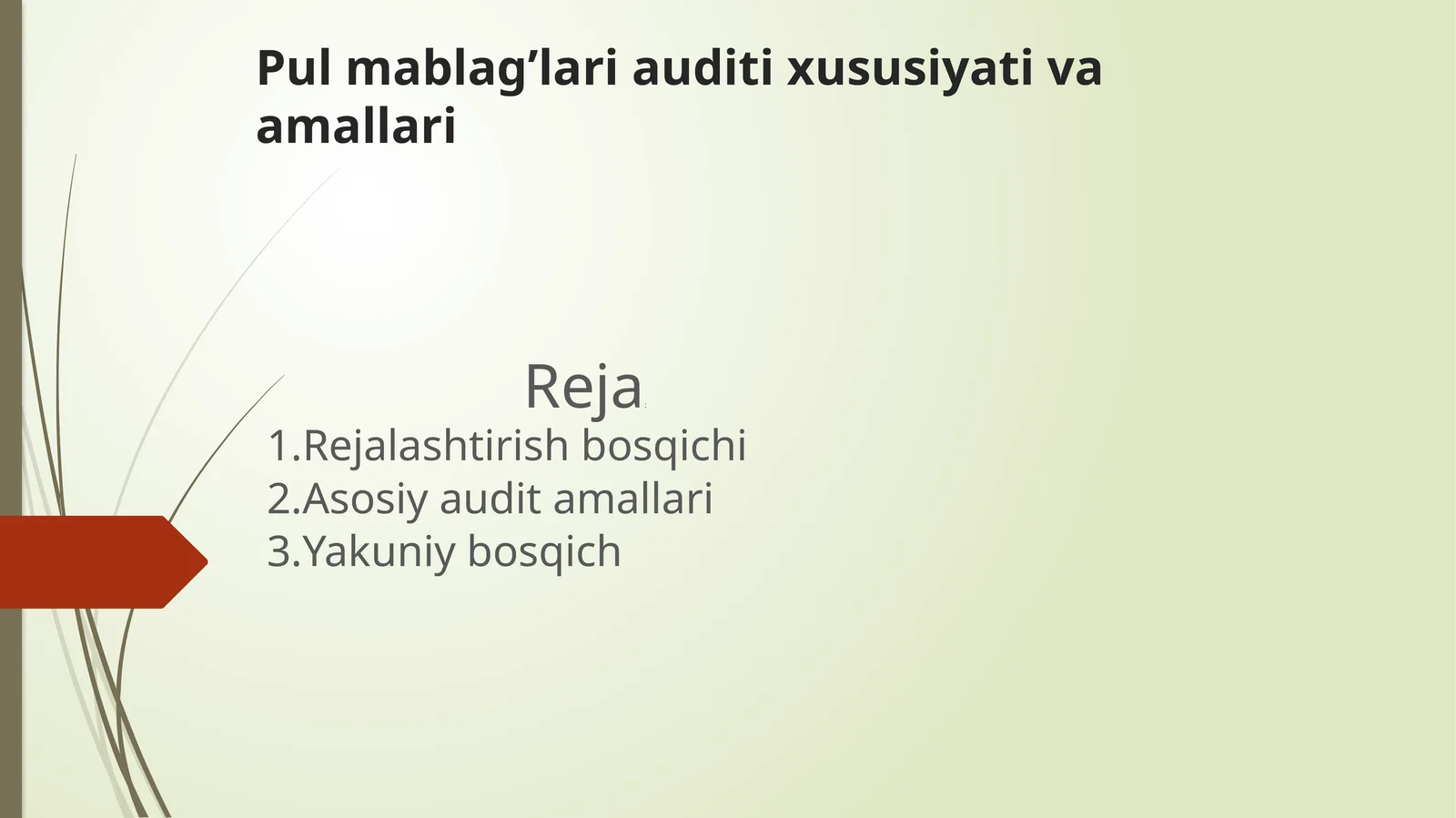 Pul mablag’lari auditixususiyi va amallari