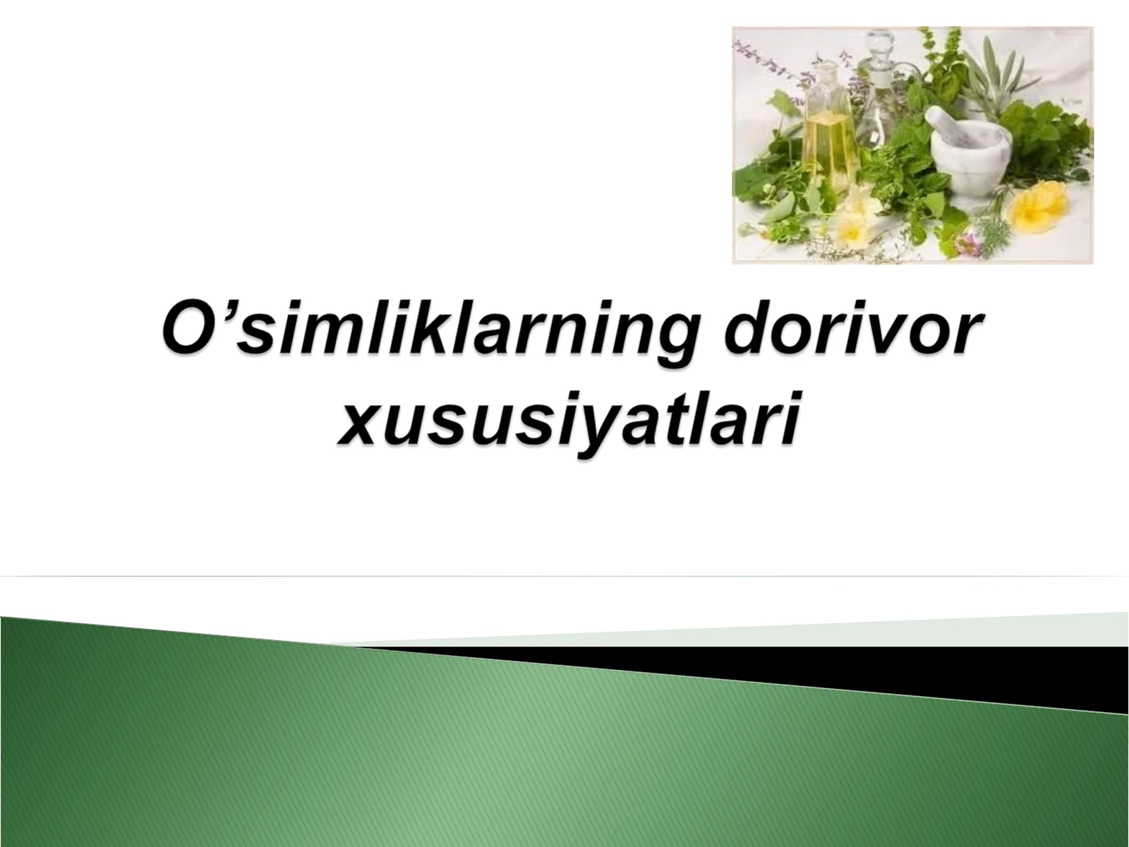 O'simlik haqida ma'lumot