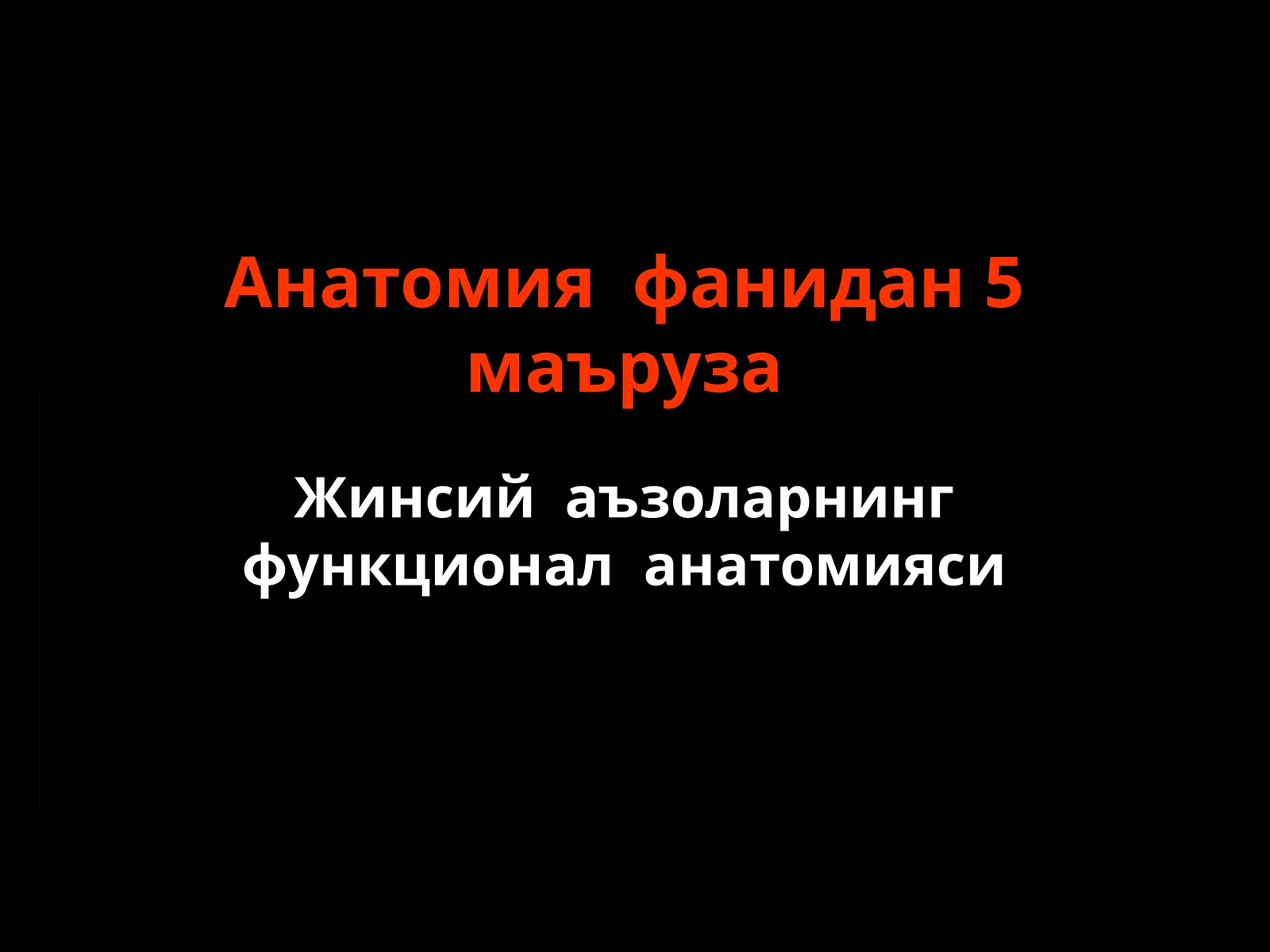 Жинсий аъзоларнинг функционал анатомияси