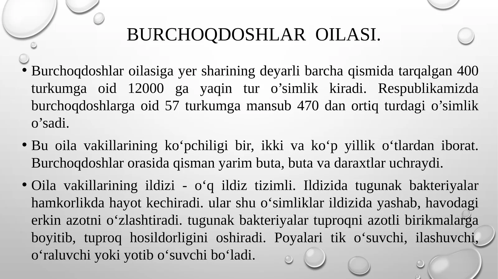 Burchoqdoshlar oilasi
