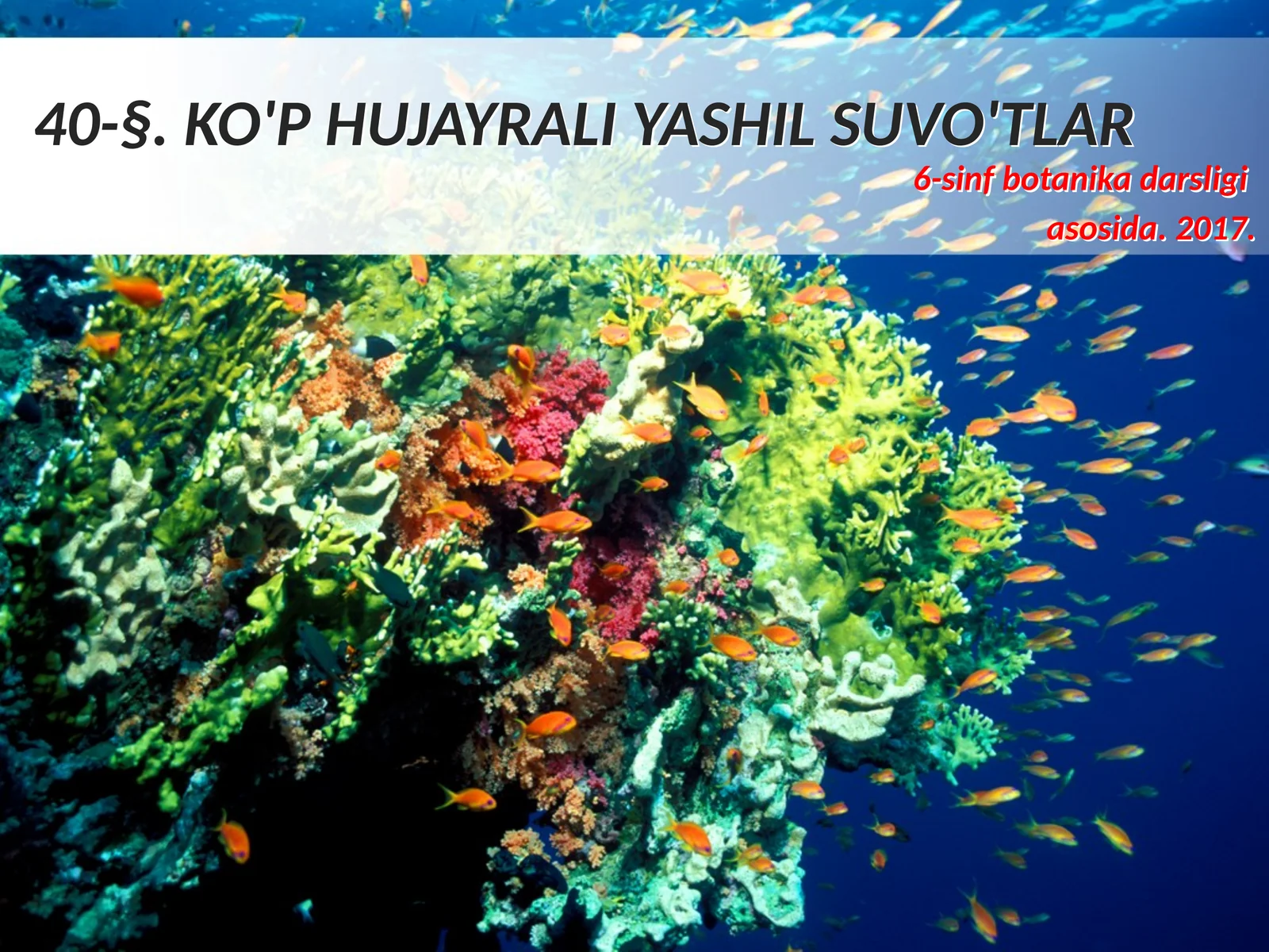 6-sinf Botanika Ko'p hujayrali yashil suvo'tlar