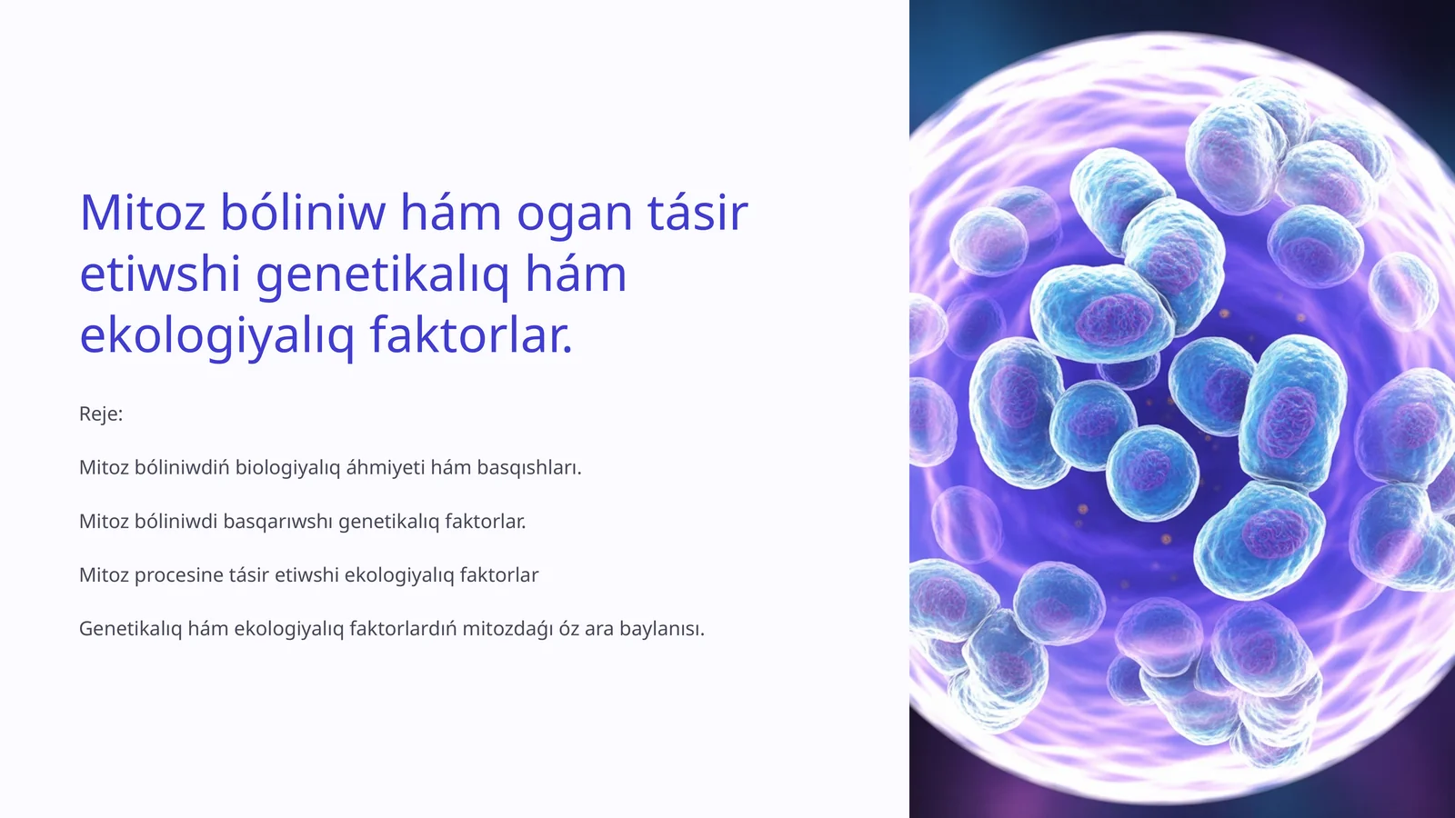 Mitoz bóliniw hám ogan tásir etiwshi genetikalıq hám ekologiyalıq faktorlar