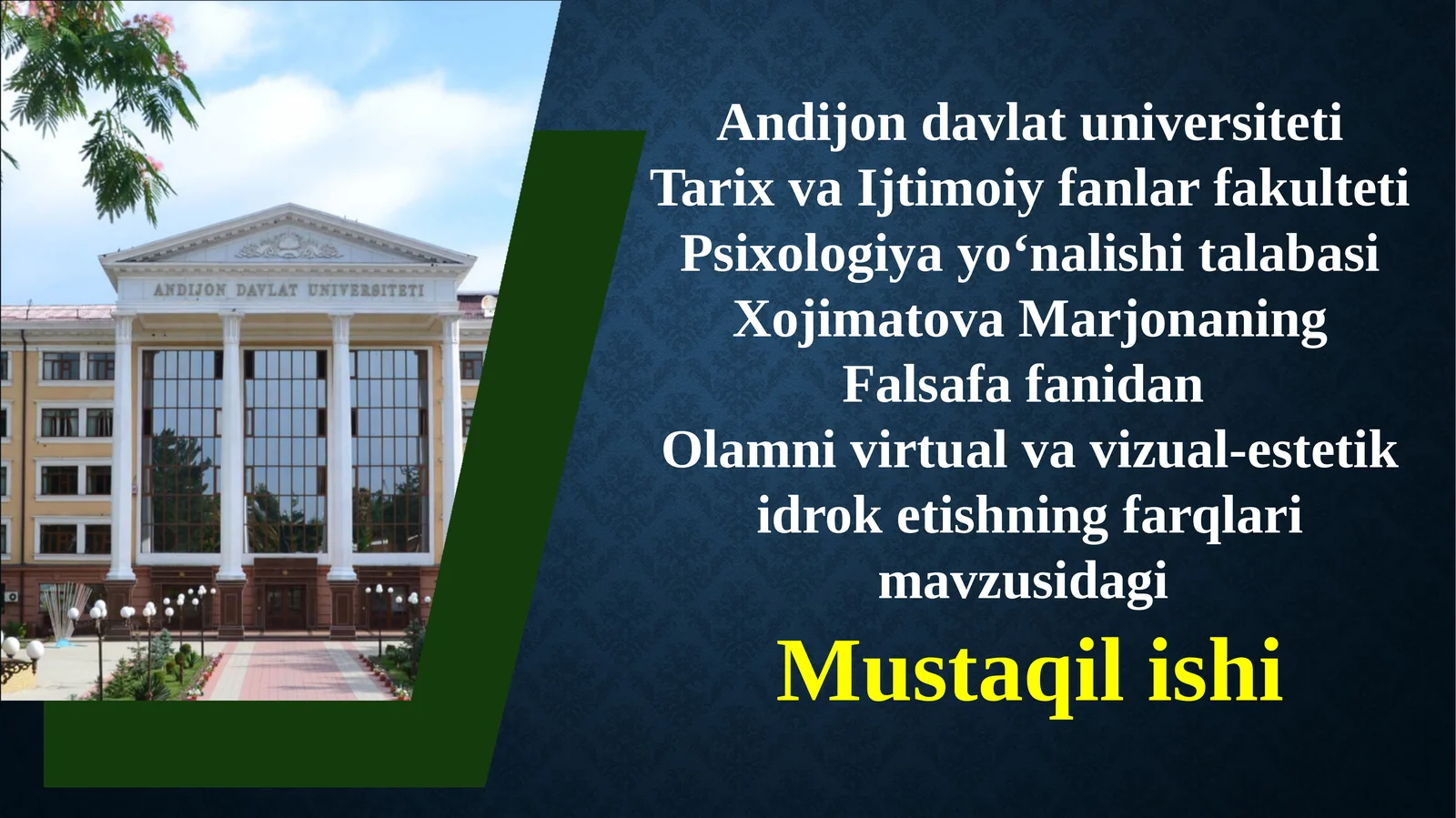 Olamni virtual va vizual-estetiki droketishning farqlari mavzusi