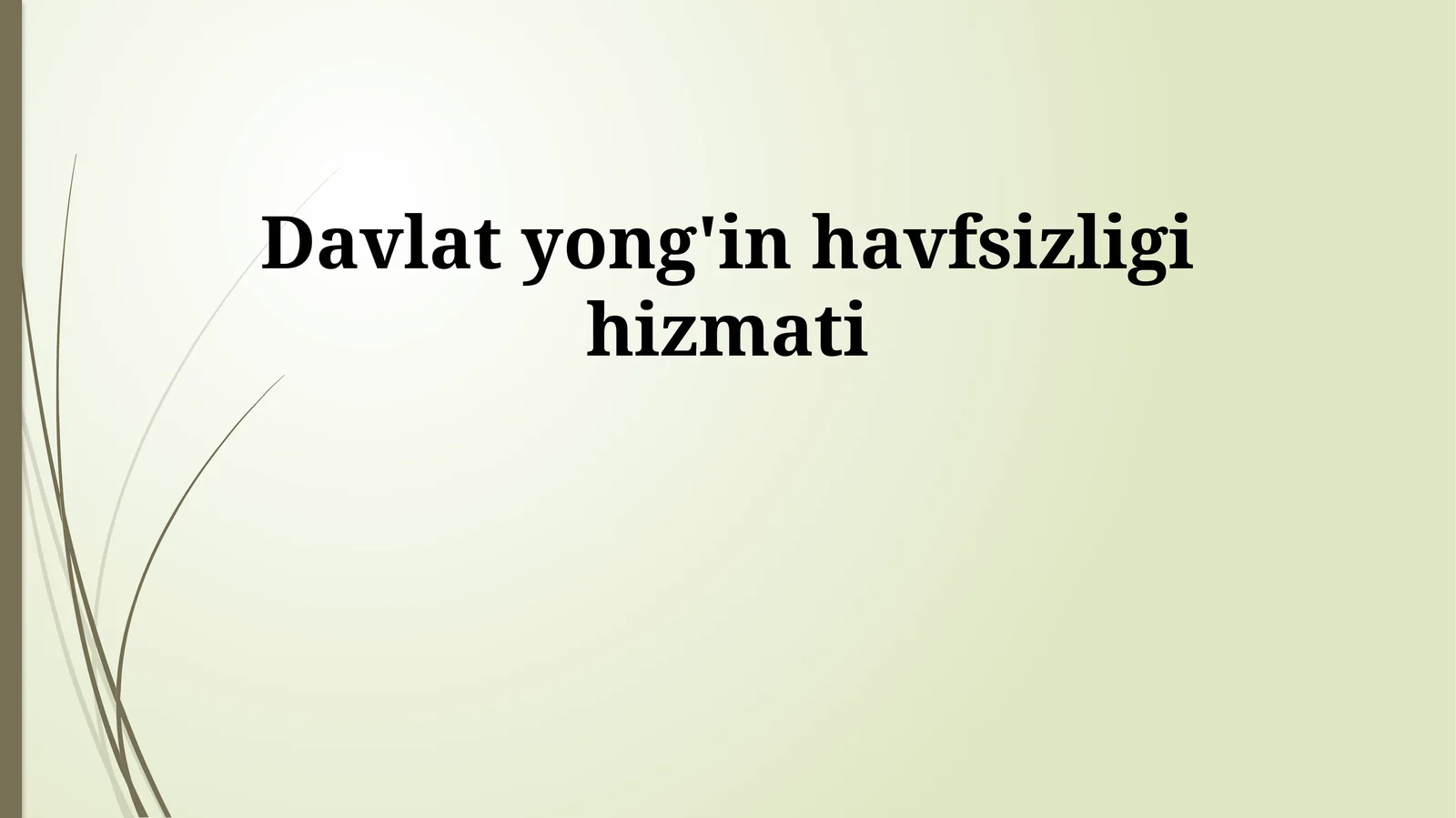 Davlat yong'in havfsizligi hizmati
