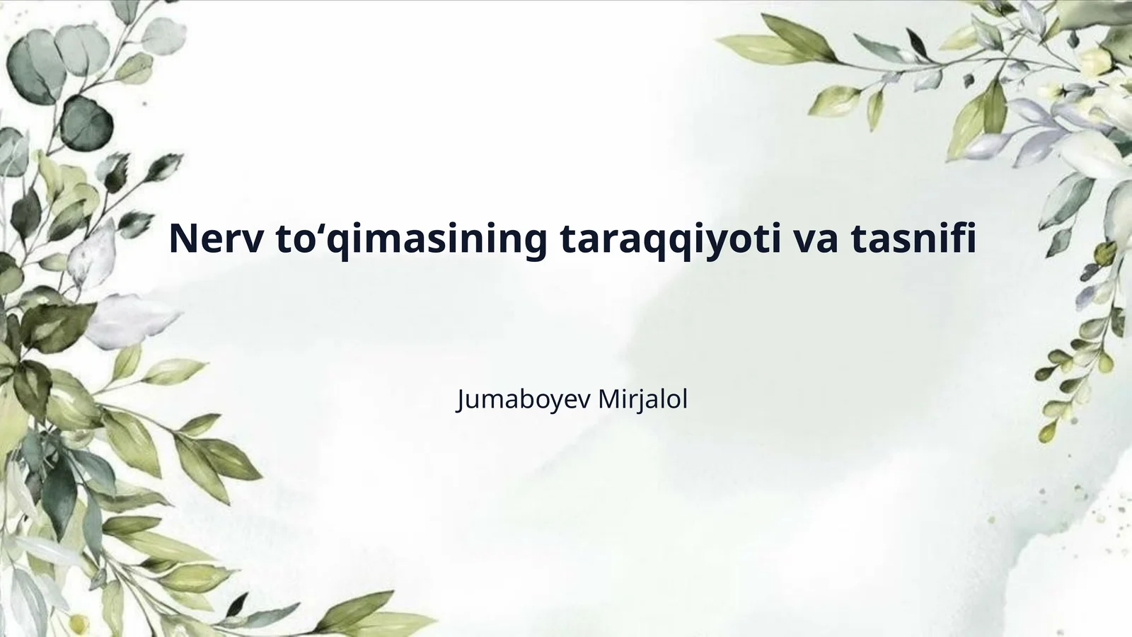 Nerv toʻqimasining taraqqiyoti va tasnifi