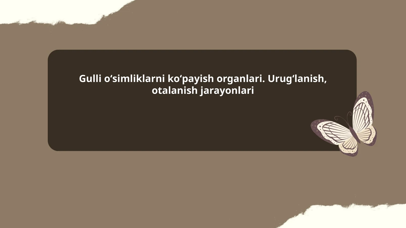 Gulli oʻsimliklarni koʻpayish organlari