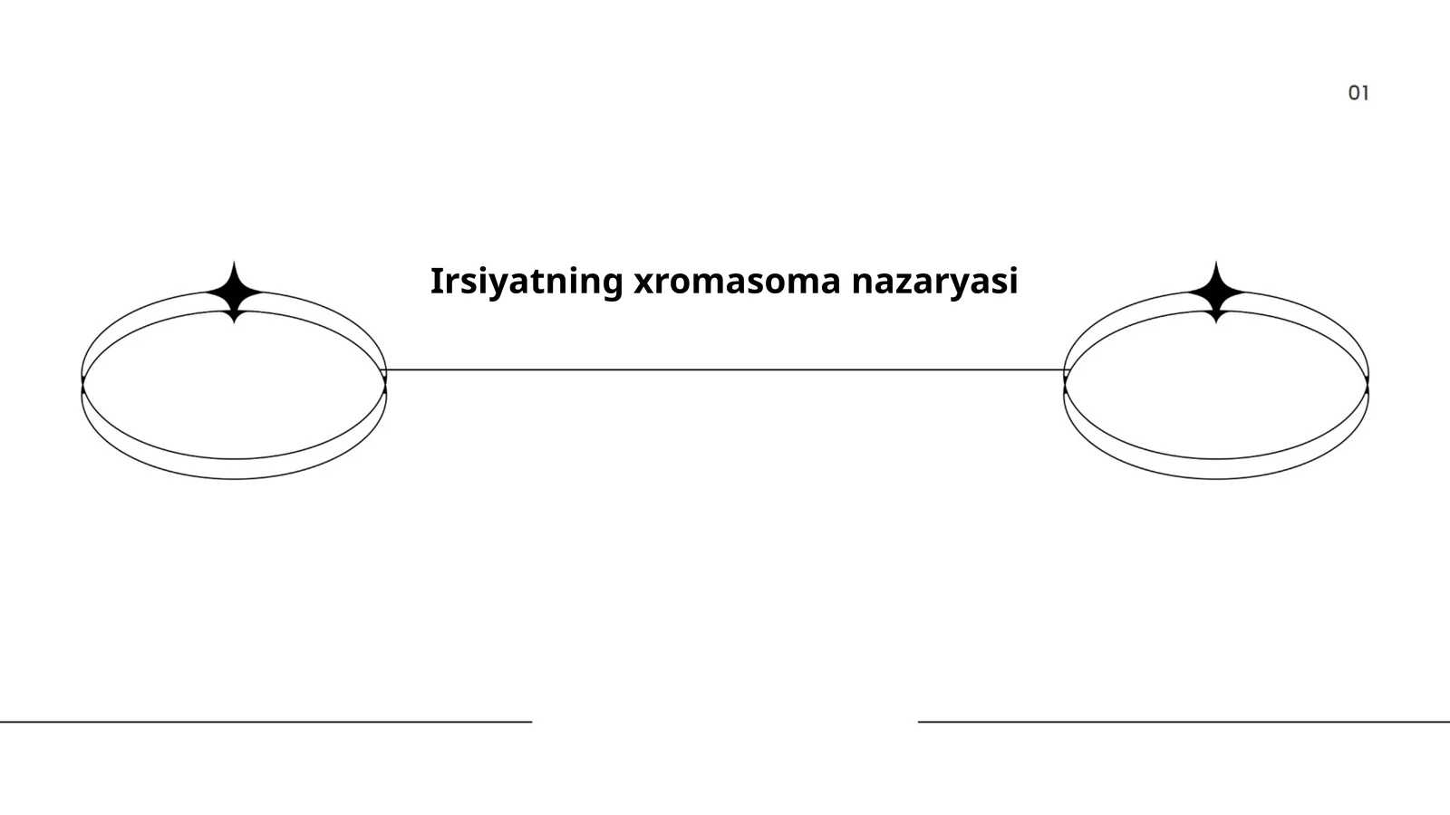 Irsiyatning xromasoma nazaryasi