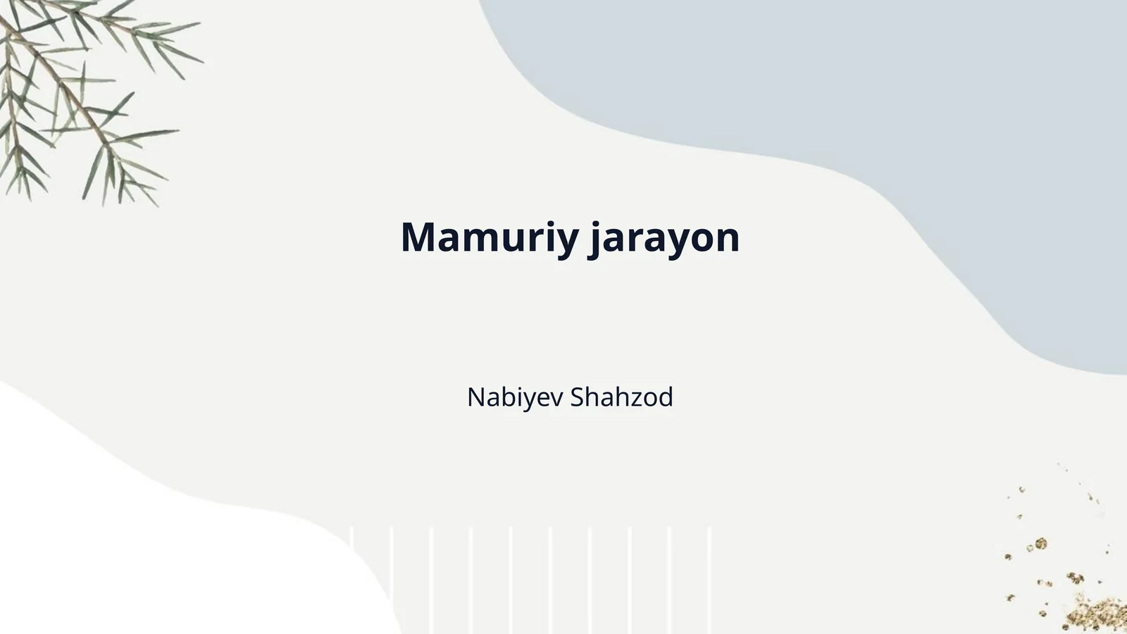 Mamuriy jarayon